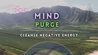 Mystical Mind Purge  DMT Breathwork Journey to Cleanse Negative ENERGY with Amazonian Handpan [upl. by Eirased961]