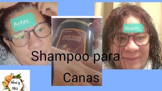 Shampoo para las canas Funciona o no [upl. by Sirromed]