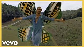 Rayland Baxter  If I Were A Butterfly Official Video [upl. by Innoj]