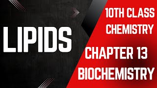 lipids  10th class chemistry chapter 13 biochemistry jhwconcepts711 [upl. by Kiah423]