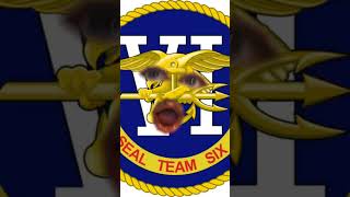 Seal Team Six Training to fight China funny [upl. by Auehsoj]