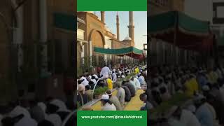 Mere Sheikh Jee Mere Seikh Amin Jee  naat Lets go Multan Sharif 381 madina [upl. by Ber]