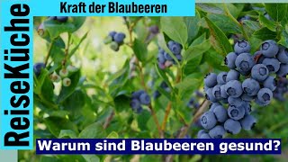 ReiseKüche gesund Warum Blaubeeren so gesund sind [upl. by Jessi384]