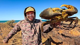 GIANT CRAB  Catch and Cook  2 Days Fishing Hunting amp Foraging For Food [upl. by Barney]