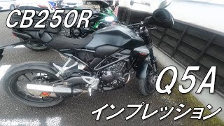 DUNLOP SPORTMAX Q5AをCB250Rに装着したら インプレ編 [upl. by Ballou938]