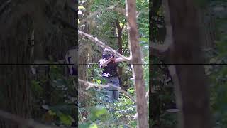 Did I Hit That Guy 28 Airsoft Sniper SHORTS [upl. by Enahpad537]