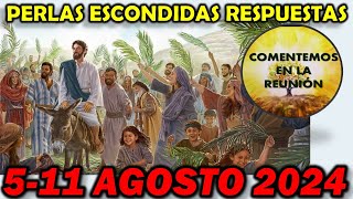 Comentarios Perlas Escondidas 511 Agosto 2024 [upl. by Enimajneb]