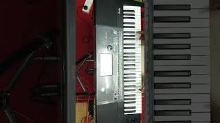 Strings Run korgpa600 marcatoons strings jachin keyboardplayer likeandsubscribe share [upl. by Adnuhsed]