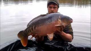 Frontfish stocking Sundridge Lake Kent [upl. by Oswin]