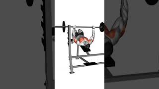 Barbell Pause Decline Bench Press  Workout Video workout chest barbell chest [upl. by Zia]