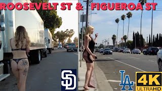 🇺🇸Figueroa Street Los Angeles VS Dalbergia street San Diego 4K [upl. by Song565]