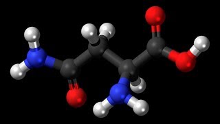 Asparagine  Asparagus Liver Function Cells Nerves Brain Diuretic Ammonia Proteins [upl. by Manella]