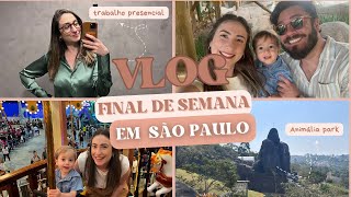 VLOG  Trabalho presencial em São Paulo tour pelo Airbnb e passeio no Animalia Park [upl. by Guenzi]