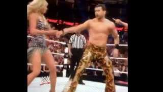 Summer Rae kiss  Layla kiss wwe 2014 [upl. by Vedette]