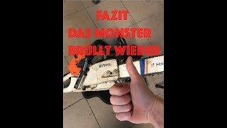 Das MONSTER BRÜLLT wieder  Stihl MS441 Wartung  Mein Fazit [upl. by Attalie572]