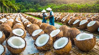 OIL Making Process from Coconut in Factory  Coconut Harvesting and Processing for Oil and Sugar [upl. by Aehtna]