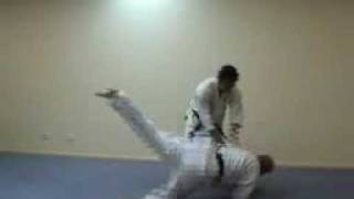 Kyokushin Kai Karate Tai Sabaki  Martial Arts TV  Interactive Martial Arts [upl. by Allista]