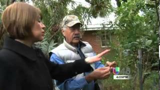 Moringa In McAllen TX with Martin Hinojosa Spanish Video [upl. by Boj841]