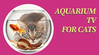 AQUARIUM TV FOR CATS TO WATCH ON YOUTUBE  10 Hours Fish [upl. by Ysteb705]