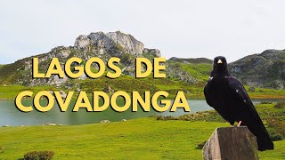 LAGOS DE COVADONGA [upl. by Justina742]