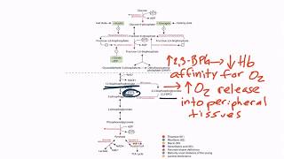 USMLE Step 1 Glycolysis [upl. by Nirrol]