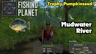 Trophy Pumpkinseed Mudwater River  Fishing Planet [upl. by Eytteb333]