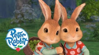 Peter Rabbit  The Revenge of Flopsy and Mopsy  Cartoons for Kids [upl. by Stempson492]