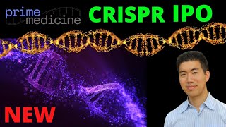 Prime Medicine PRME Stock CRISPR IPO… Complete Overview [upl. by Leunamme882]