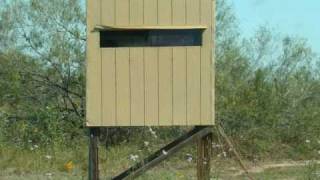 Grande Hunts 8 South Texas Deer Lease Work Feeding amp Scouting October 2010 [upl. by Auhsej]