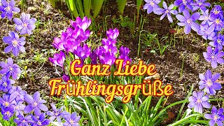 Hallo Frühling😊🌷🌷🌷Ich wünsche Dir einen guten Start in den Frühling🌞🍀💕 Herzliche Frühlingsgrüße💖 [upl. by Atoel]