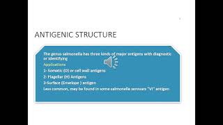 Peritonitis Typhoid and Paratyphoid  Microbiology 6  Gastrointestinal system [upl. by Aned]