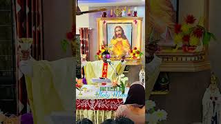 Holy Mass celebrated at my home [upl. by Solange]