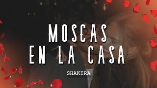 Shakira  Moscas en la Casa LetraLyrics [upl. by Breger]