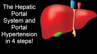 HEPATIC PORTAL SYSTEM HEPATIC PORTAL CIRCULATION EXPLAINED [upl. by Initof]