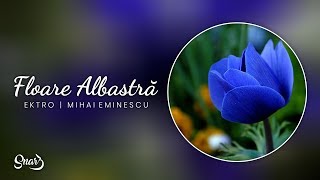 Ektro  Floare Albastră versuri Mihai Eminescu [upl. by Silliw]