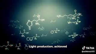 Evolution of Bioluminescence in Marine Organisms [upl. by Eniamzaj]