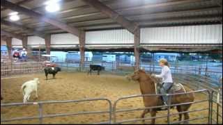 San Olena Quixote  41812 sorting practice 3  Valley View Ranch [upl. by Rona496]