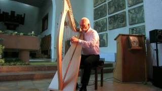 Luc Vanlaere plays the Celtic Harp at St Trudo Abbey [upl. by Jeffrey]