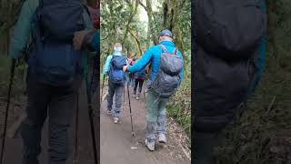 Conquer Mount Kilimanjaro with Enjoy Kili Limited The Ultimate Adventure [upl. by Aihsena]