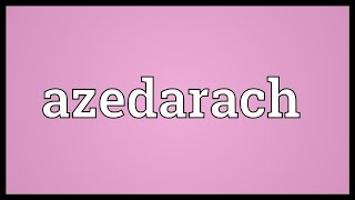 Azedarach Meaning [upl. by Niltak615]