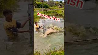 Monster Fish 😳 fyp fishing fish Tiktok viralvideo fishingvideo [upl. by Eessac]