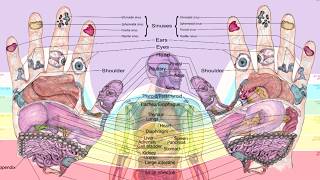 Balancingtouchs Reflexology Hand Chart [upl. by Aihgn]