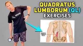 4 Quadratus Lumborum Pain Exercises [upl. by Felicity]