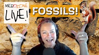 Fossil and Deathplate MICROZONE Friday Night LIVE [upl. by Notse]