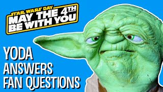 YODA ANSWERS FAN QUESTIONS May the 4th Special  The Puppet Yoda Show [upl. by Chiou826]