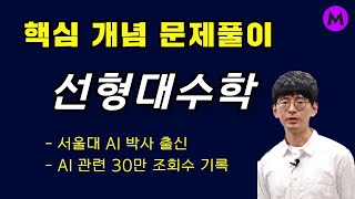 선형대수학 무료강의 예제문제  서울대 AI박사  행렬 덧셈곱셈내적독립종속Dot 연산 [upl. by Ime]