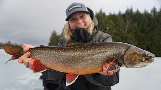 Ice Fishing SPLAKE  Most Beautiful Fish in Ontario [upl. by Bernadene660]