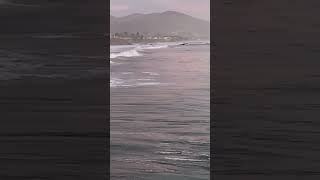 Cayucos pier jump surfsup surf pacific jump waves [upl. by Noret]