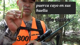 puerca salvaje cayo en sus huellas con 300 wing mag [upl. by Sydney134]