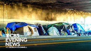 How Los Angeles is working to combat the homelessness crisis [upl. by Volkan648]